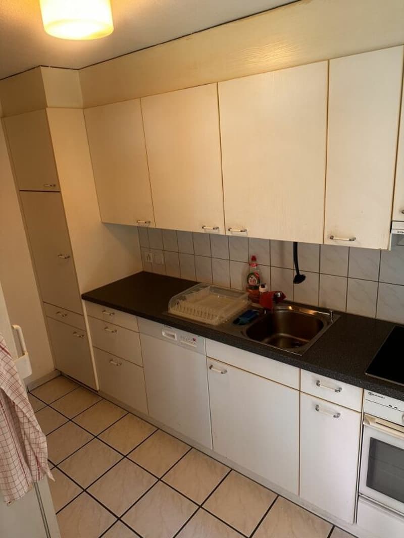 Gemütliche 3-Zimmerwohnung (3)