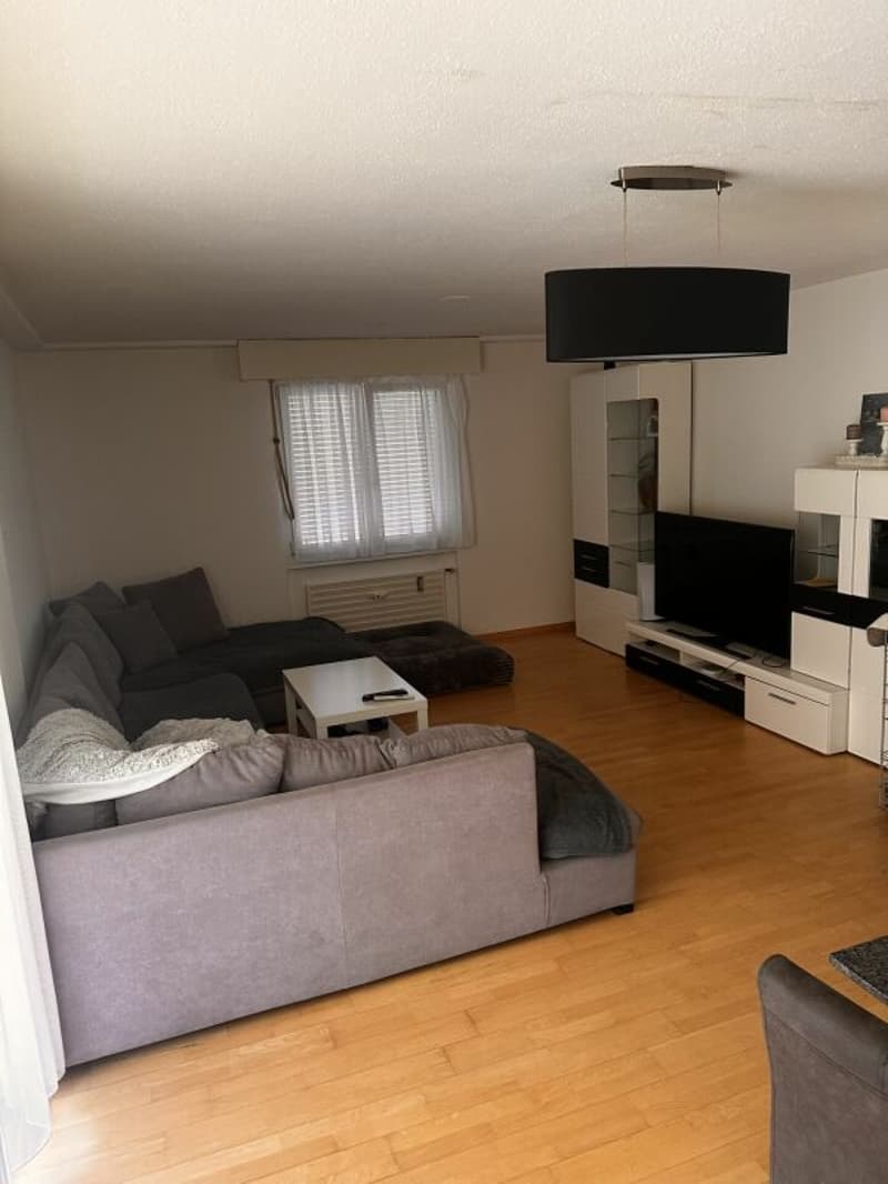 Gemütliche 3-Zimmerwohnung (2)
