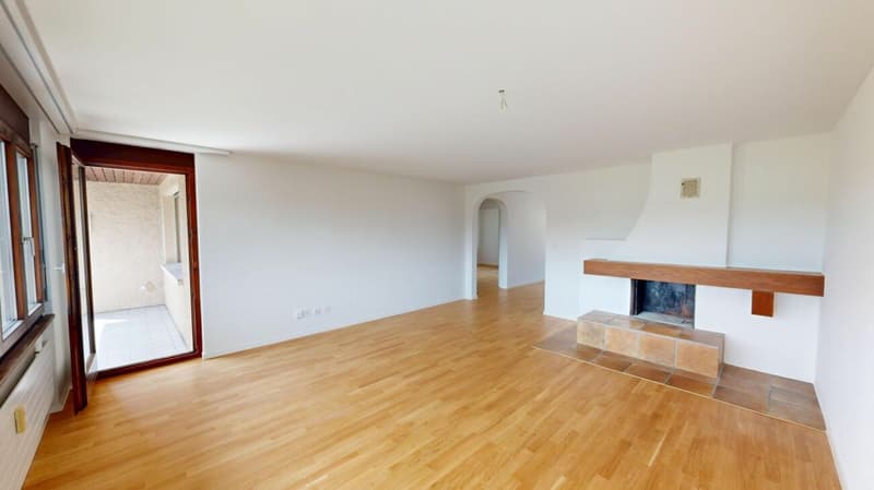 3.5 Zimmer Wohnung im Grünen (1)