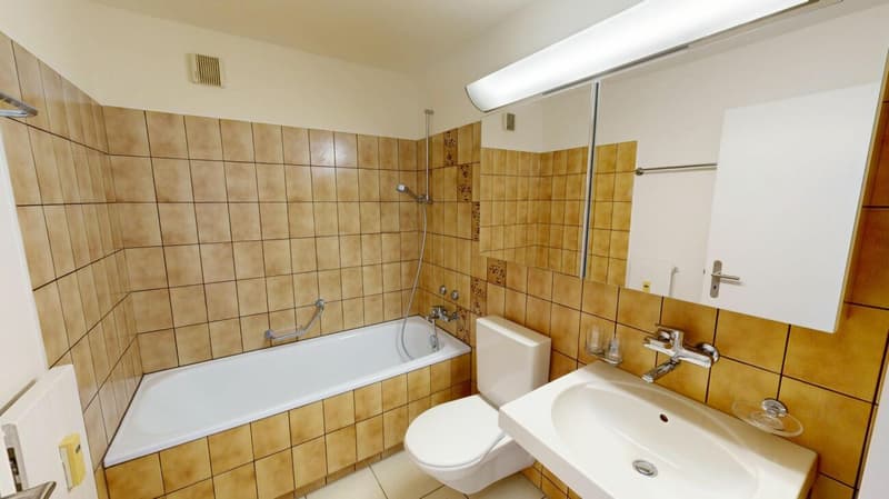 3.5 Zimmer Wohnung im Grünen (8)