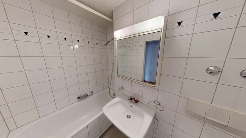 GEMÜTLICHE Singlewohnung (3)