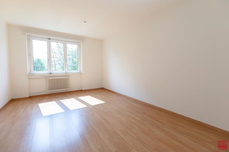 Wohnung mit CHARME (6)