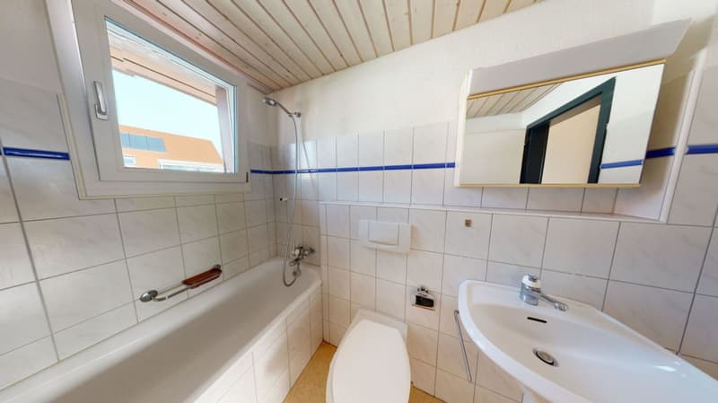 Schöne 2.5 Zimmer-Dachwohnung an guter Lage (7)