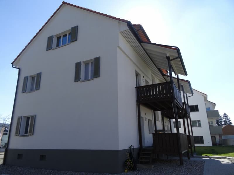 Schöne 2.5 Zimmer-Dachwohnung an guter Lage (1)