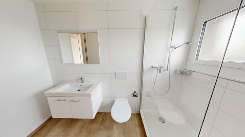 MODERNE 4.5 Zimmer-Wohnung (3)