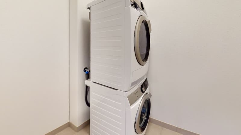 Neuwertige 2.5 Zimmer Sitzplatz Wohnung (8)