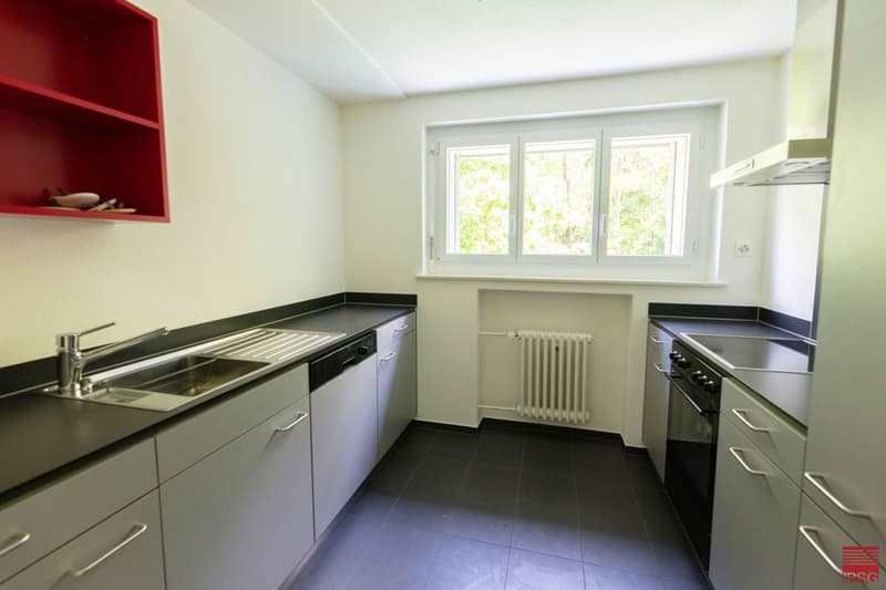 Grosszügige Wohnung an ruhiger Lage (4)