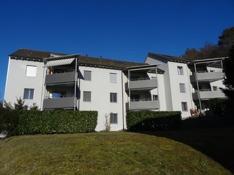 Grosszügige Wohnung an ruhiger Lage (1)