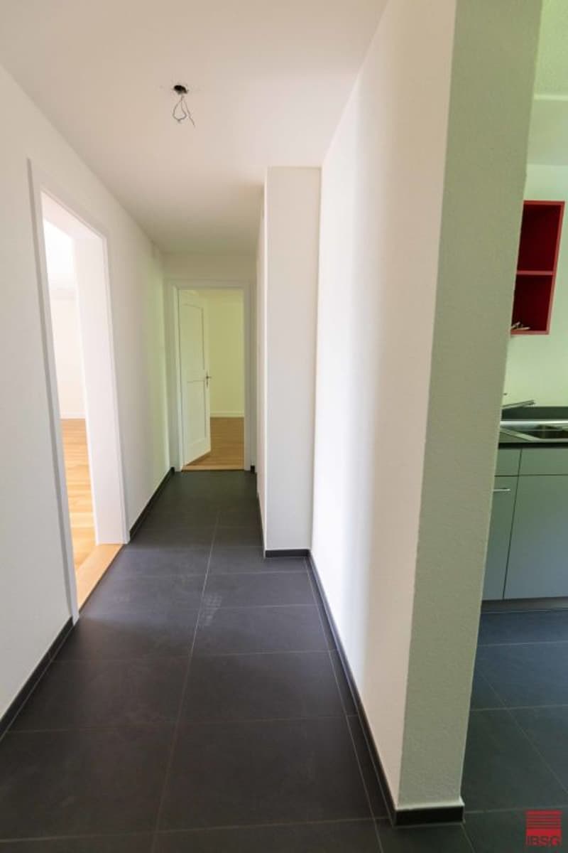 Grosszügige Wohnung an ruhiger Lage (3)
