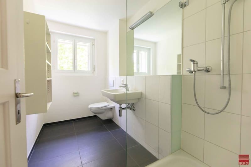 Grosszügige Wohnung an ruhiger Lage (5)