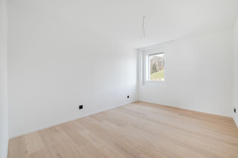 Moderne 3.5 Zimmer-Wohnung (3)
