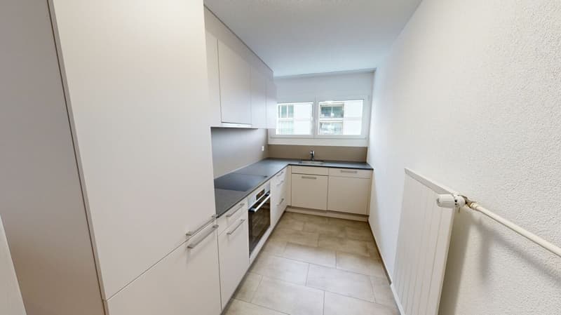 MODERNE 4.5 Zimmer-Wohnung (1)