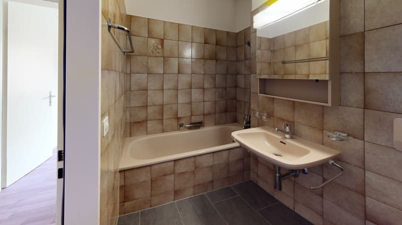 Schöne Single-Wohnung mit grossem Balkon (3)