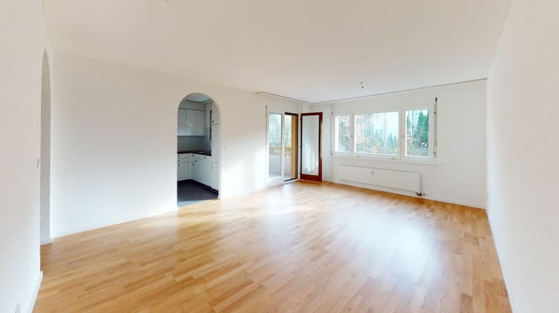 Schöne Single-Wohnung mit grossem Balkon (4)