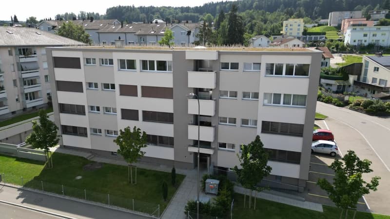 Moderne 4.5 Zimmer-Wohnung (1)