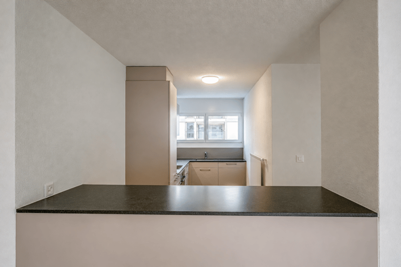 Moderne 4.5 Zimmer-Wohnung (2)
