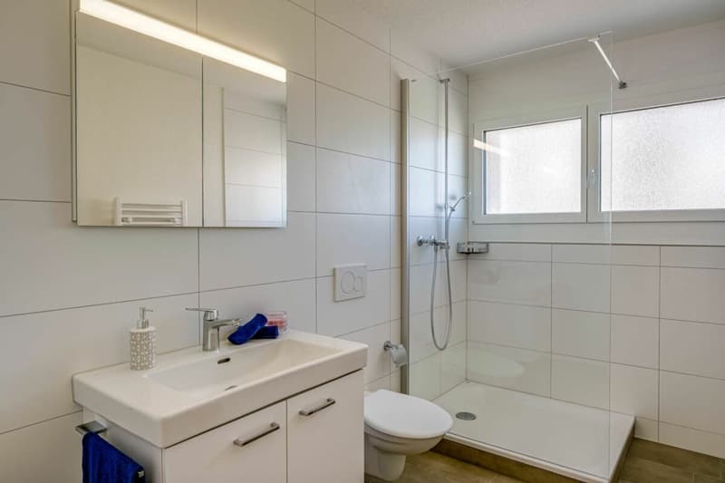 Moderne 4.5 Zimmer-Wohnung (5)