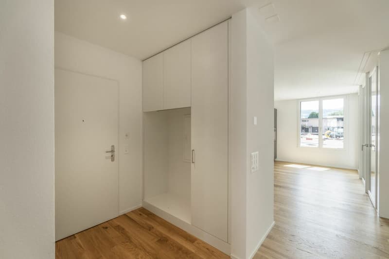 Modern 3.5 Zimmer Wohnung (2)