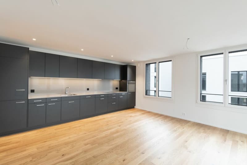 Modern 3.5 Zimmer Wohnung (3)