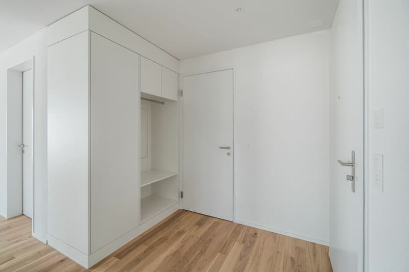 Moderne 3.5 Zimmer Attika Wohnung am See (2)