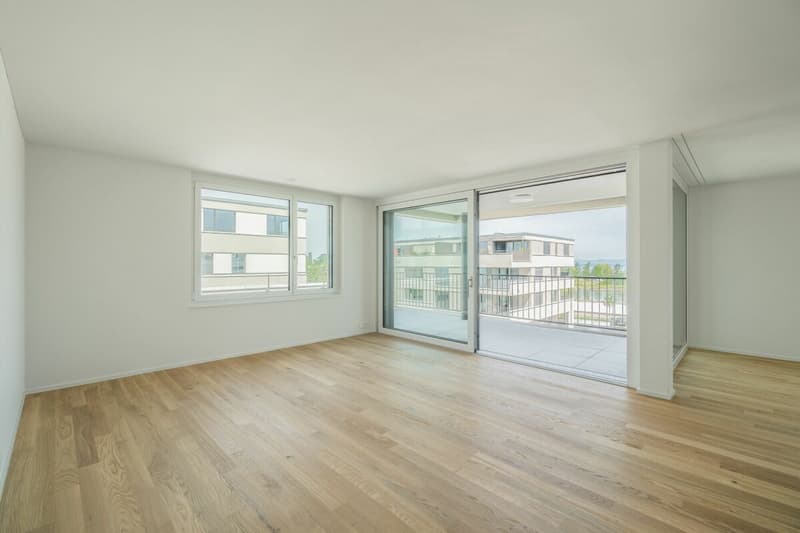 Moderne 3.5 Zimmer Attika Wohnung am See (5)