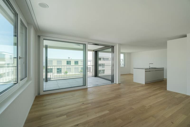 Moderne 3.5 Zimmer Attika Wohnung am See (6)