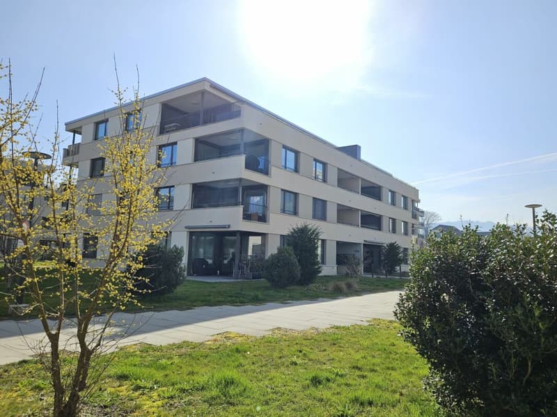 Moderne 3.5 Zimmer Attika Wohnung am See (1)