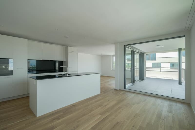 Moderne 3.5 Zimmer Attika Wohnung am See (4)