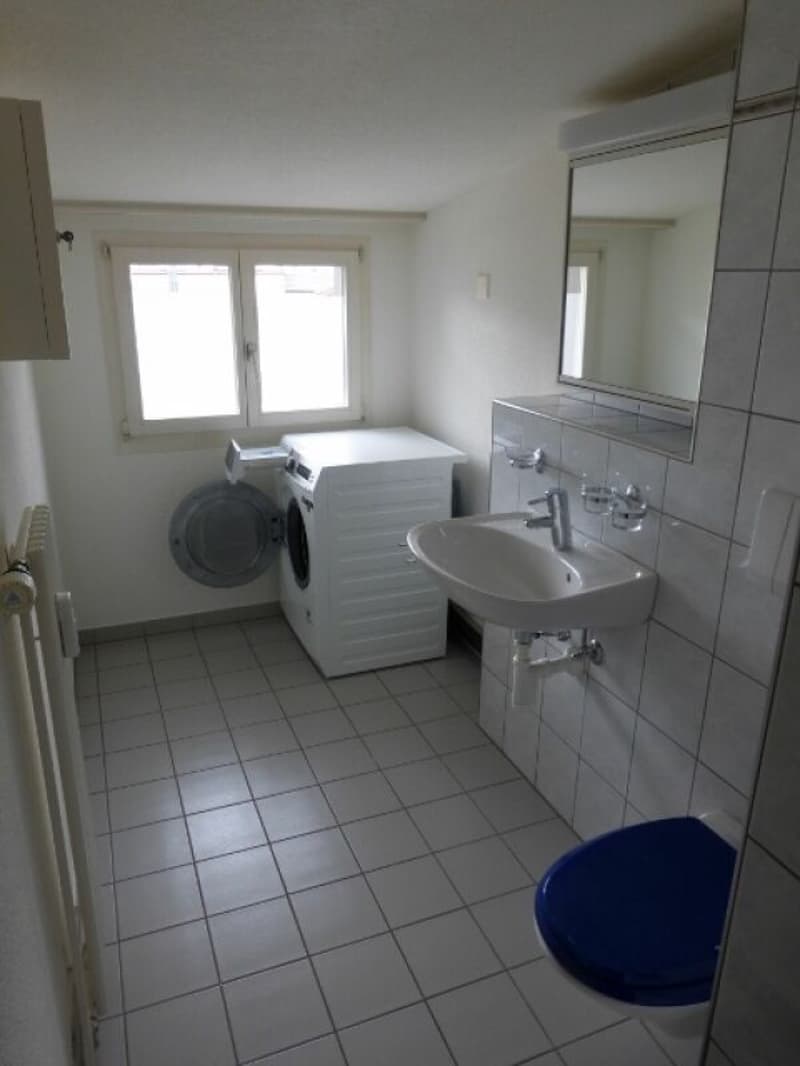 Zentrale 2.5 Zimmer- Wohnung (8)
