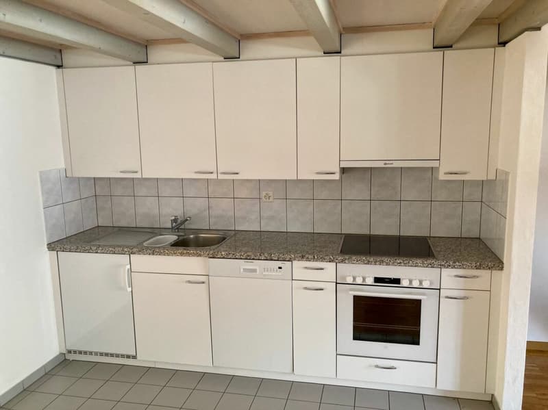 Zentrale 2.5 Zimmer- Wohnung (4)