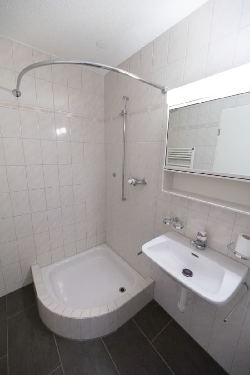 ATTRAKTIVE Dachgeschosswohnung (4)