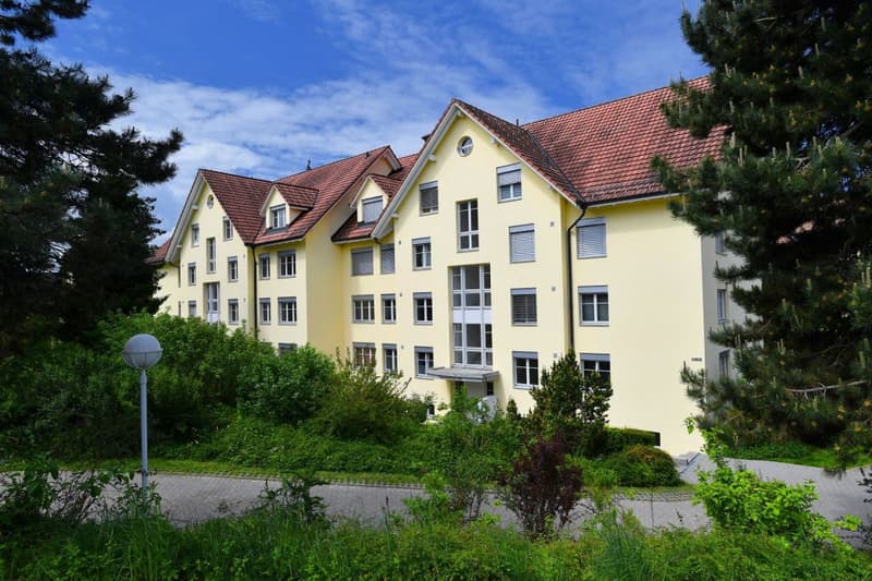 ATTRAKTIVE Dachgeschosswohnung (1)