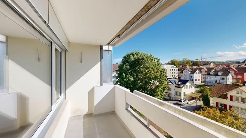 Gemütliche 3.5 Zimmerwohnung sucht neuen Mieter (10)