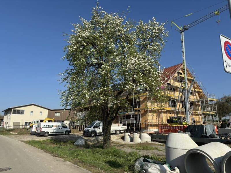 Surconstruction Sunnegg - Rêve de maison en Holz100 (3)