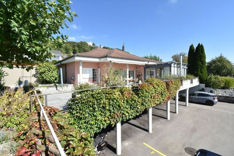 Open architecture with large plot (1)