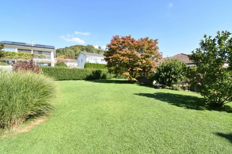 Open architecture with large plot (3)