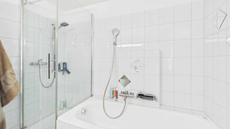 Eckhaus mit 5.5 Zimmer an ruhiger Lage (11)
