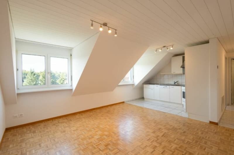 Gemütliche Dachwohnung in Sulgen (1)