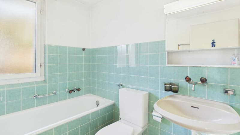 Doppeleinfamilienhaus mit 5.5 - Zimmer (9)