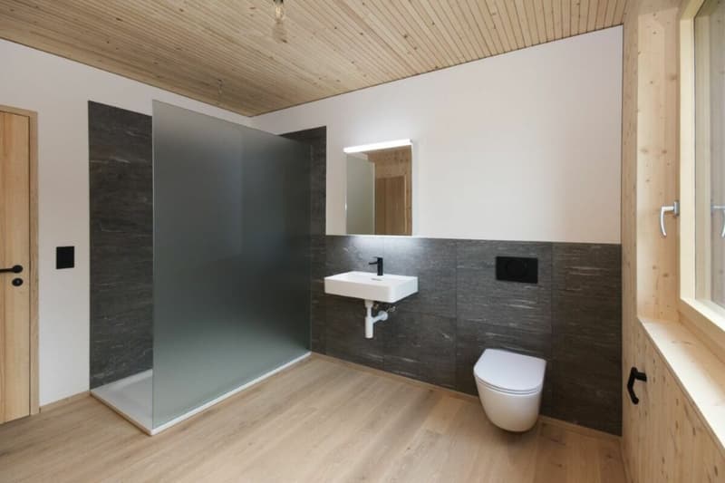 Überbauung Sunnegg - Wohntraum in Holz100 (6)