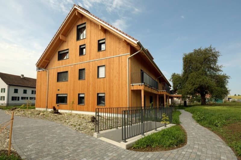 Überbauung Sunnegg - Wohntraum in Holz100 (10)