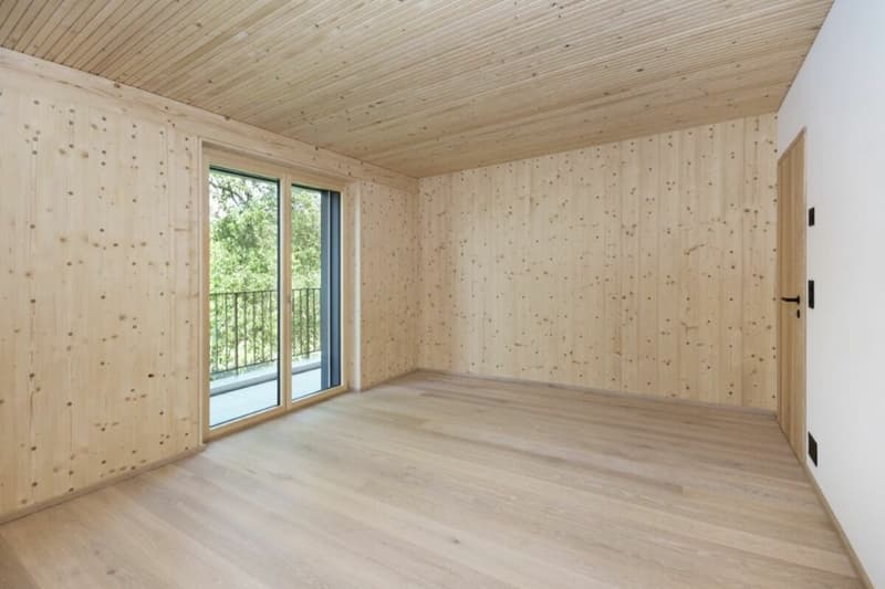 Überbauung Sunnegg - Wohntraum in Holz100 (8)