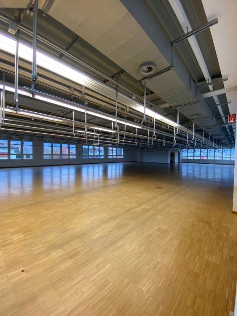 Halle_2.jpg