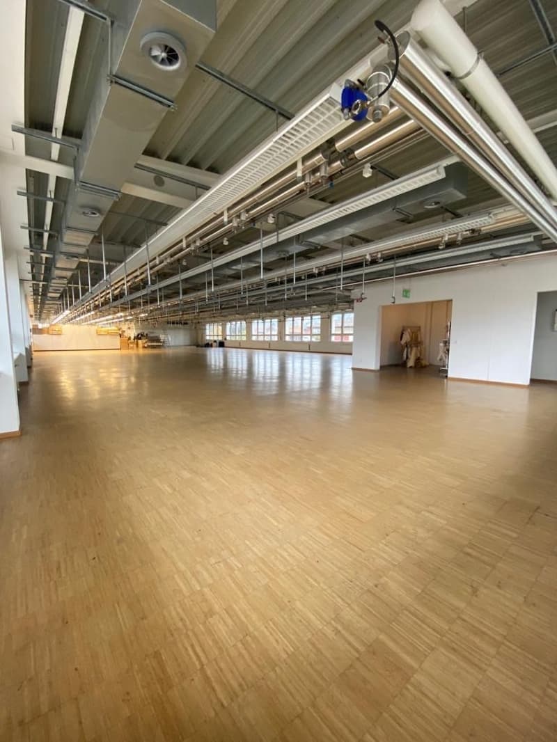 Halle_3.jpg