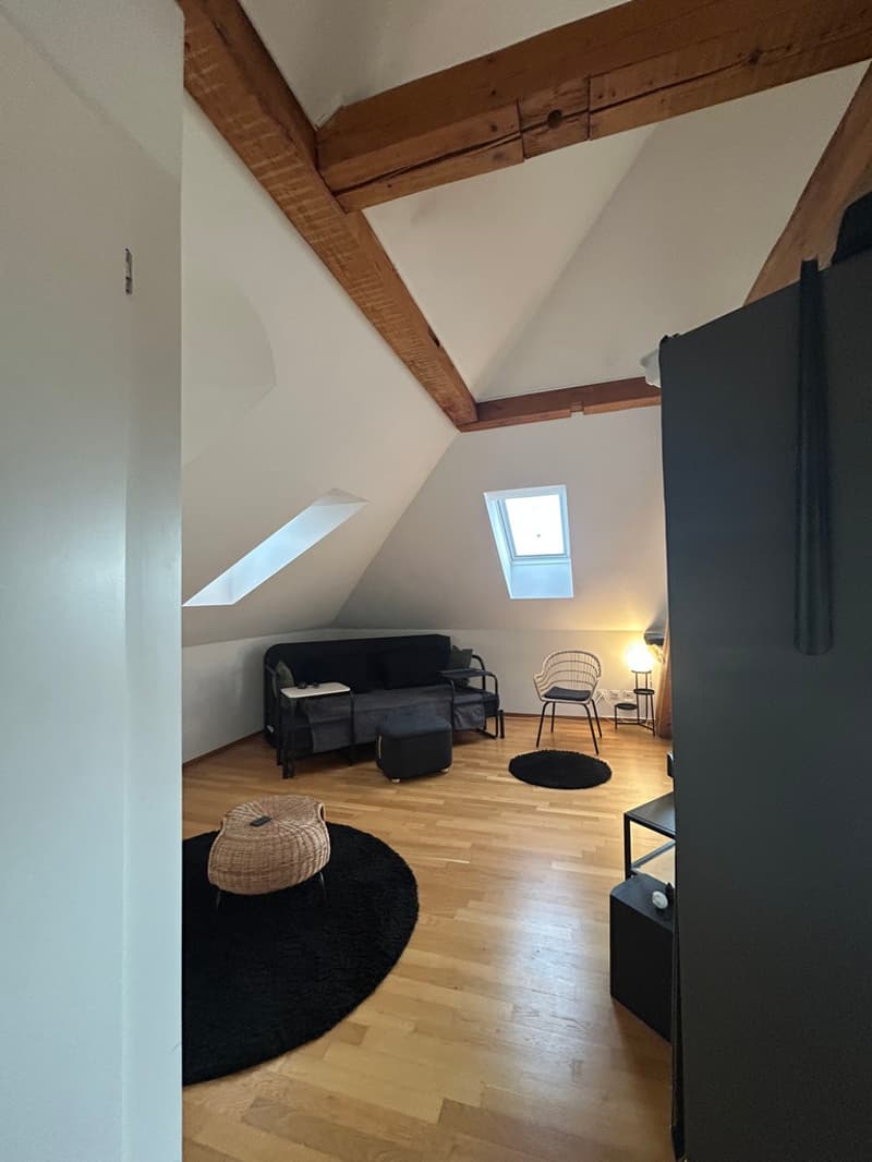 Wohnzimmer1.JPEG