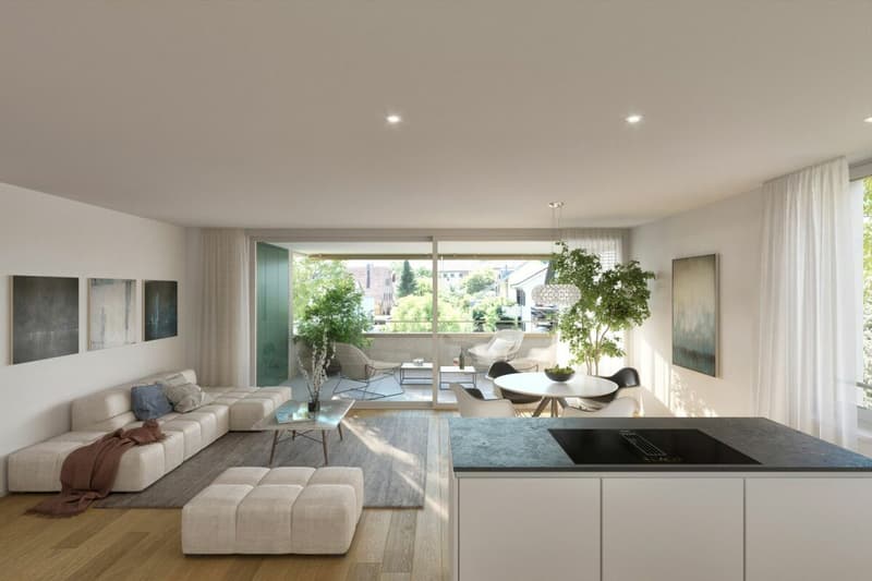 4.5 Zimmer Wohnung C 0.2 (2)