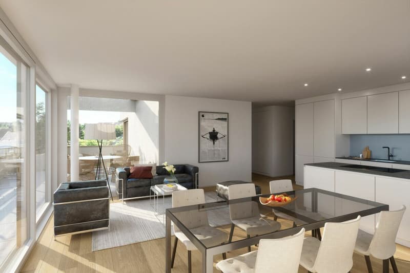 4.5 Zimmer Wohnung C 1.2 (11)