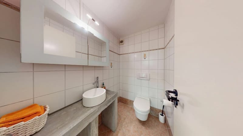 8 Zimmer Einfamilienhaus mit Einliegerwohnung (22)