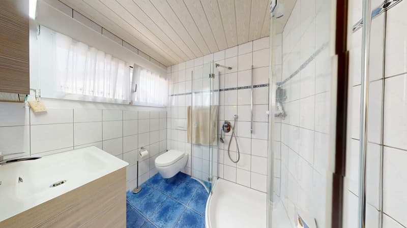 8 Zimmer Einfamilienhaus mit Einliegerwohnung (32)