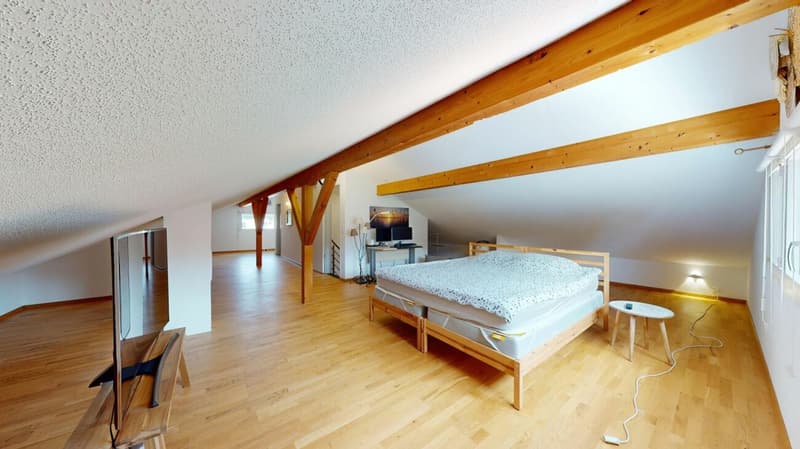 8 Zimmer Einfamilienhaus mit Einliegerwohnung (17)